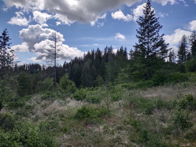 XX Ranch Rd, Loon Lake, WA 99148