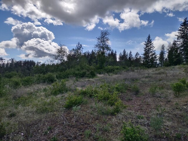 XX Ranch Rd, Loon Lake, WA 99148