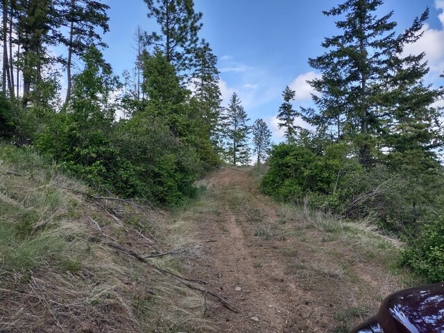 XX Ranch Rd, Loon Lake, WA 99148