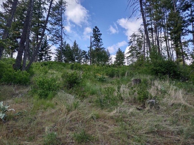 XX Ranch Rd, Loon Lake, WA 99148