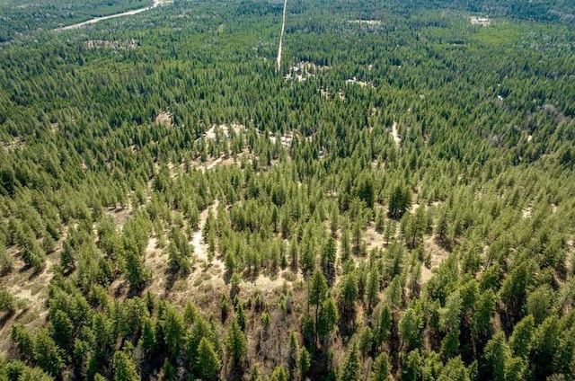 4821 Coyote Trl, Newport, WA 99156 - bird's eye view of a forest