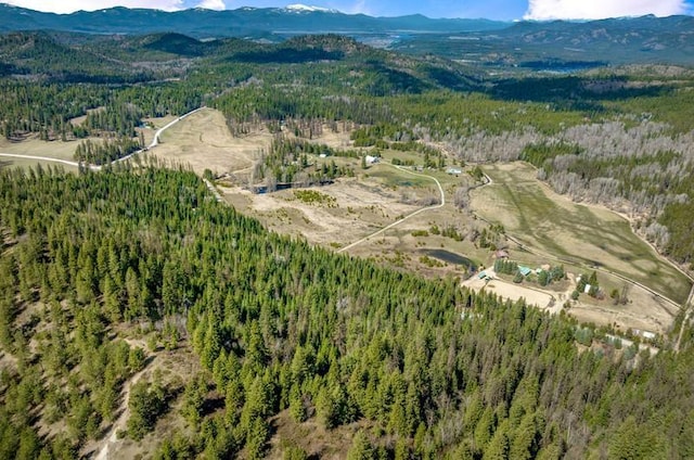 4821 Coyote Trl, Newport, WA 99156 - view of property location featuring a mountain backdrop and a forest