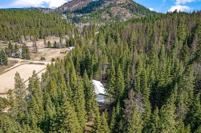 4821 Coyote Trl, Newport, WA 99156 - bird's eye view of a heavily wooded area and a mountainous background