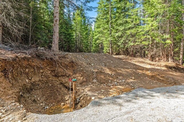 4821 Coyote Trl, Newport, WA 99156 - view of wooded area