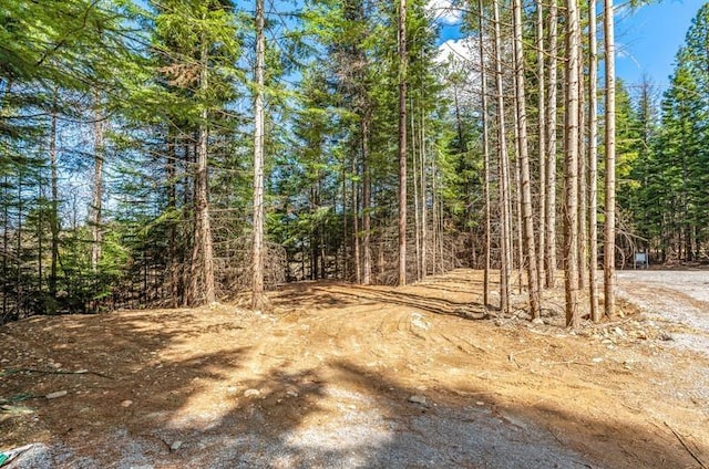 4821 Coyote Trl, Newport, WA 99156 - view of wooded area