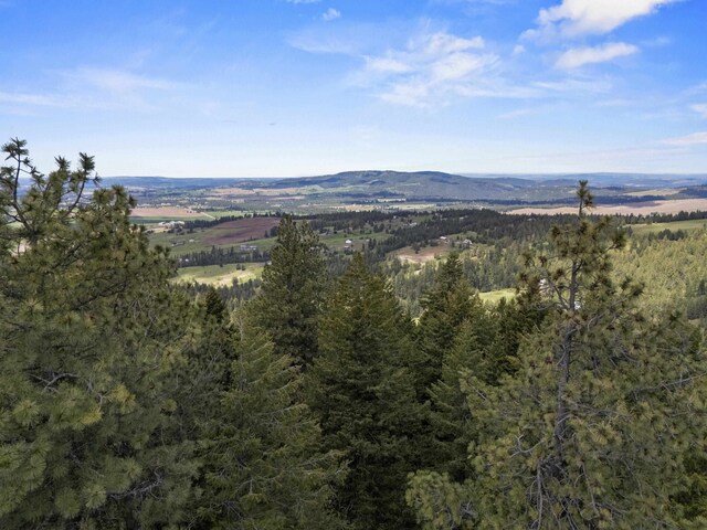17718 E Washington Rd, Valleyford, WA 99036