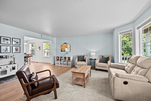 1626 5th St, Cheney, WA 99004 - living area featuring light wood-style floors and healthy amount of natural light
