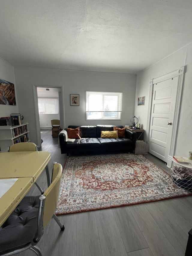 201 5th St, Cheney, WA 99004 - living area featuring wood finished floors