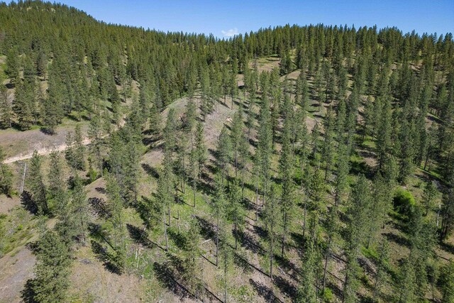 NKA Quarry-Browns Lake Rd, Chewelah, WA 99109