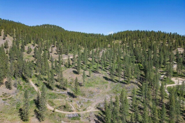 NKA Quarry-Browns Lake Rd, Chewelah, WA 99109