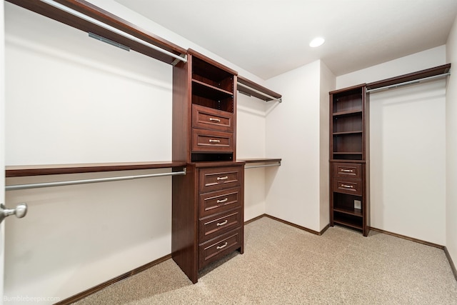 spacious closet with light carpet