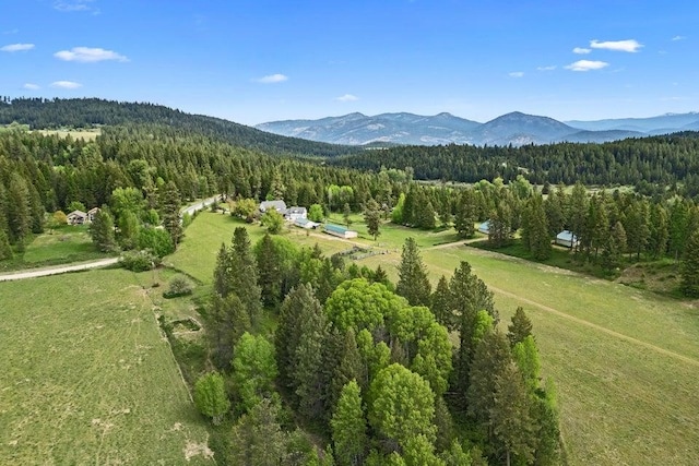 2059 Dry Creek Rd, Chewelah, WA 99109 - view of property location featuring a heavily wooded area and mountains