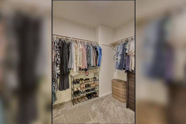 14621 E Sanson Ave, Spokane Valley, WA 99216 - spacious closet with carpet flooring