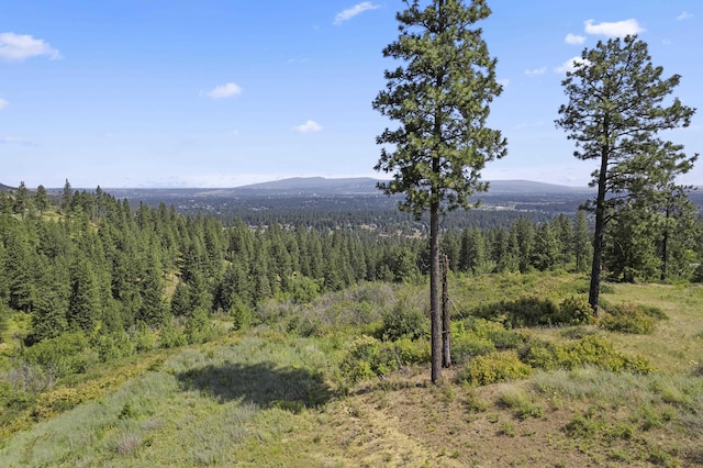 9818 E Grouse Mountain Ln, Spokane Valley, WA 99206