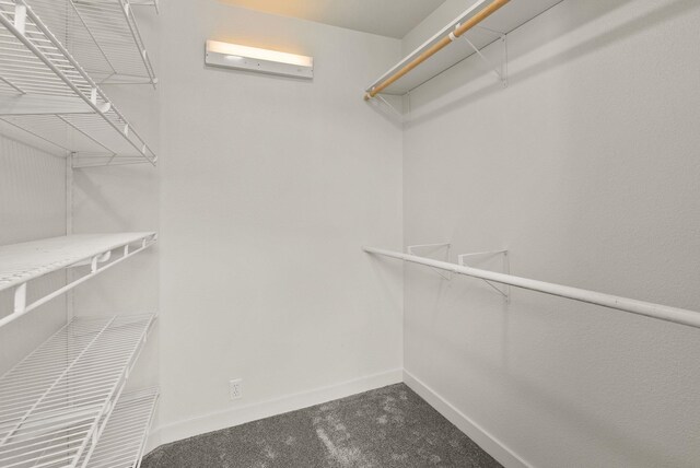13704 E Heroy Ave, Spokane Valley, WA 99216 - spacious closet with carpet