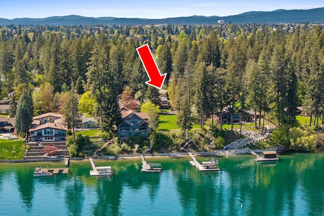 10351 N Gibson Rd, Hayden, ID 83835 - drone / aerial view of a water and mountain view and a forest