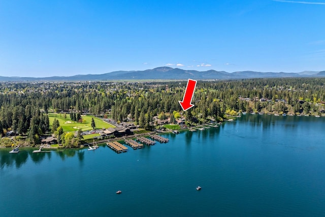10351 N Gibson Rd, Hayden, ID 83835 - bird's eye view of a forest and a water and mountain view