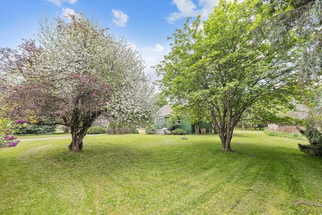 view of grassy yard