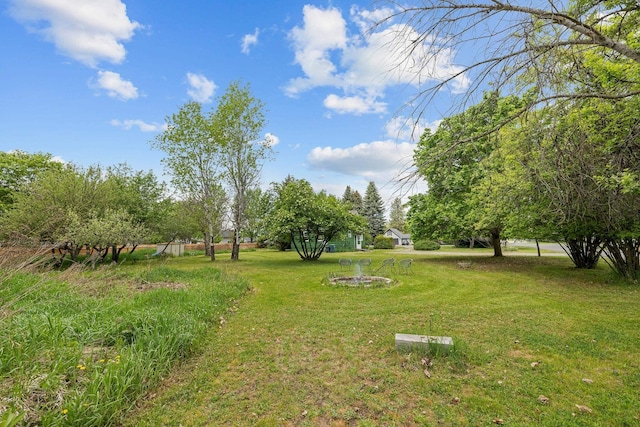 view of green lawn