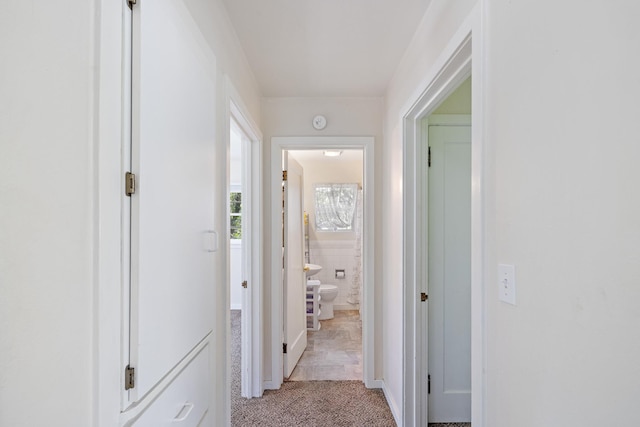 hallway featuring light colored carpet