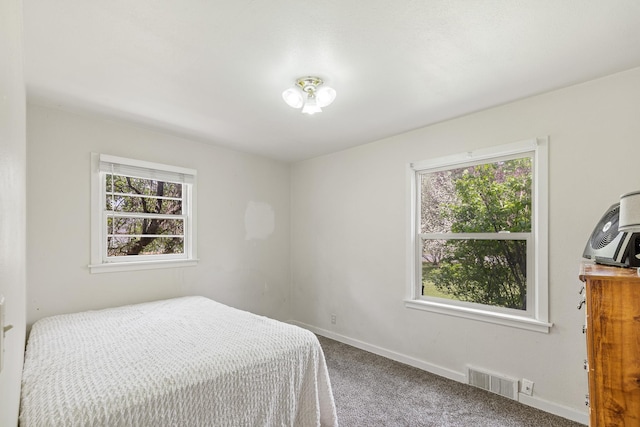 bedroom with carpet, multiple windows, and baseboards