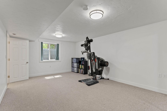 16814 N Tamarac Ln, Nine Mile Falls, WA 99026 - exercise room with baseboards, a textured ceiling, and carpet floors
