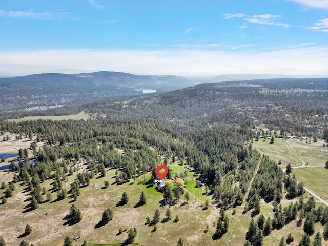 16812 W Big Sky Ln, Nine Mile Falls, WA 99026 - photo 16