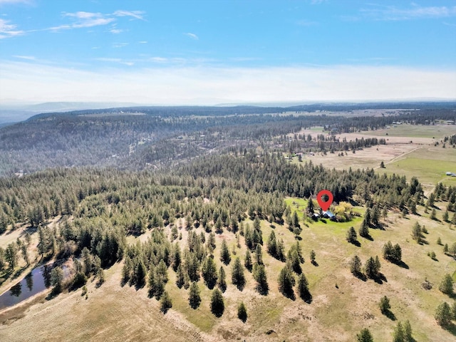 16812 W Big Sky Ln, Nine Mile Falls, WA 99026 - photo 17