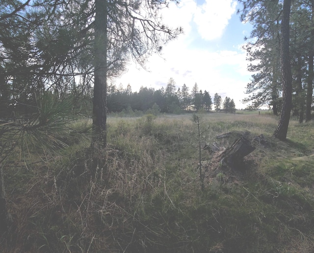 16812 W Big Sky Ln, Nine Mile Falls, WA 99026 - photo 20
