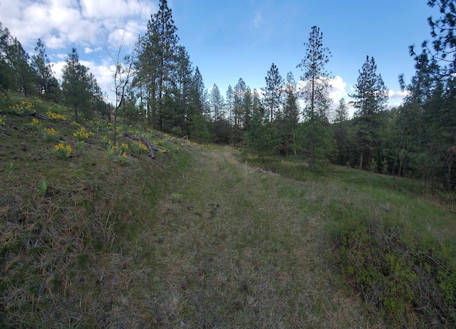 16812 W Big Sky Ln, Nine Mile Falls, WA 99026 - photo 24