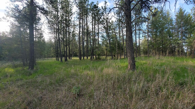 16812 W Big Sky Ln, Nine Mile Falls, WA 99026 - photo 26