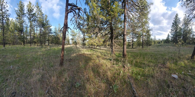 16812 W Big Sky Ln, Nine Mile Falls, WA 99026 - photo 27