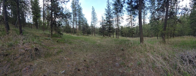 16812 W Big Sky Ln, Nine Mile Falls, WA 99026 - photo 29