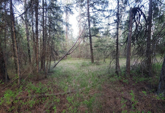 16812 W Big Sky Ln, Nine Mile Falls, WA 99026 - photo 30