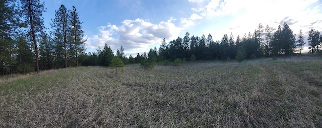 16812 W Big Sky Ln, Nine Mile Falls, WA 99026 - photo 31