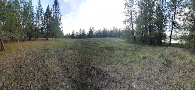16812 W Big Sky Ln, Nine Mile Falls, WA 99026 - photo 32