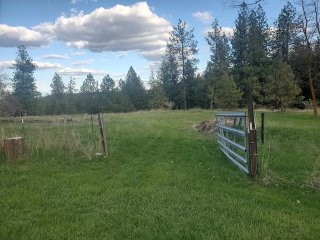 16812 W Big Sky Ln, Nine Mile Falls, WA 99026 - photo 34