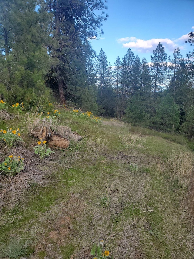 16812 W Big Sky Ln, Nine Mile Falls, WA 99026 - photo 35