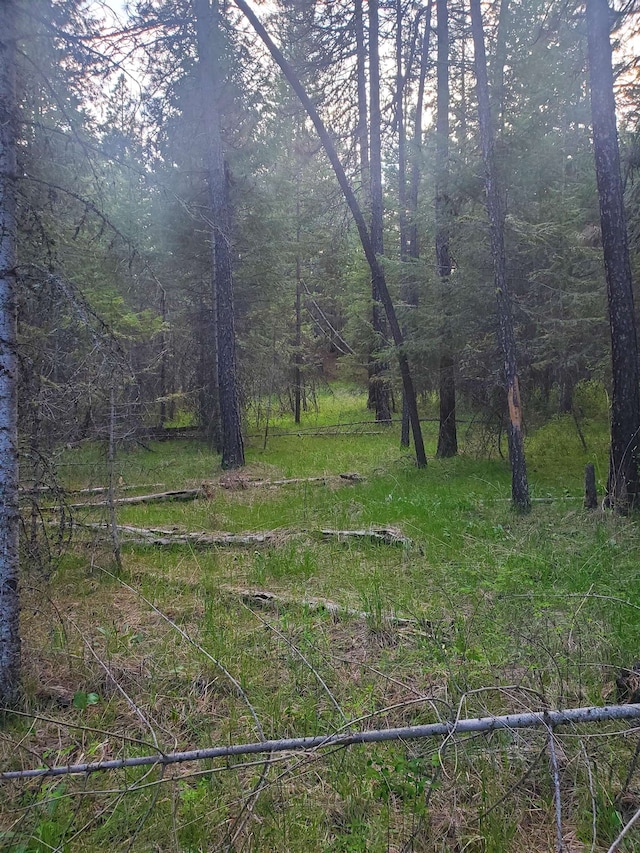 16812 W Big Sky Ln, Nine Mile Falls, WA 99026 - photo 36