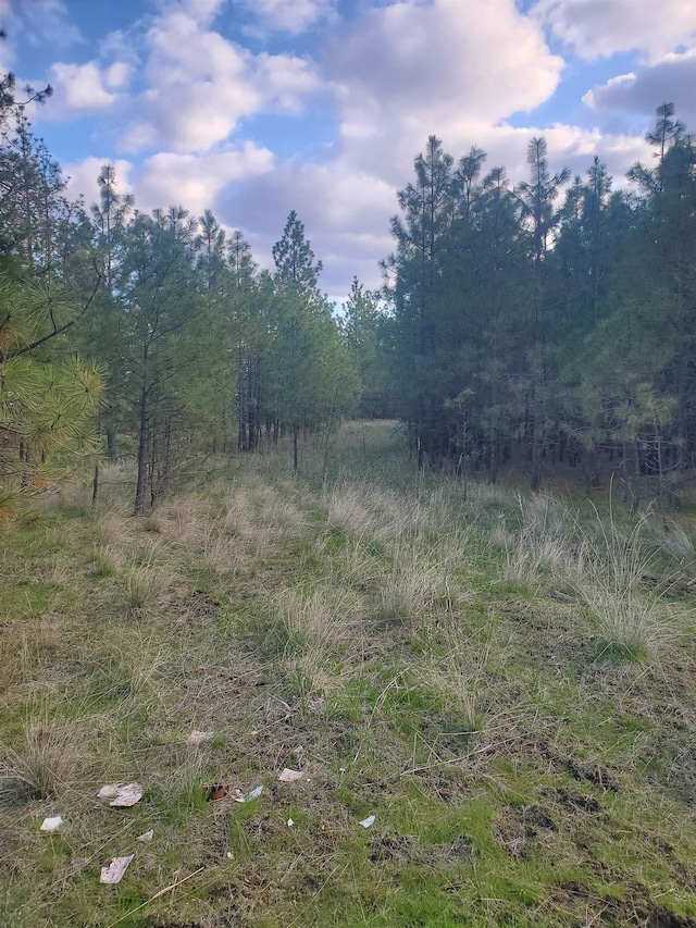 16812 W Big Sky Ln, Nine Mile Falls, WA 99026 - photo 37
