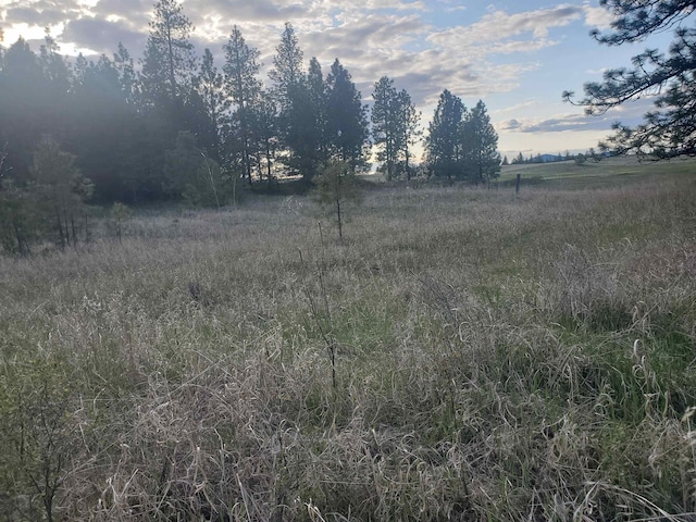 16812 W Big Sky Ln, Nine Mile Falls, WA 99026 - photo 38