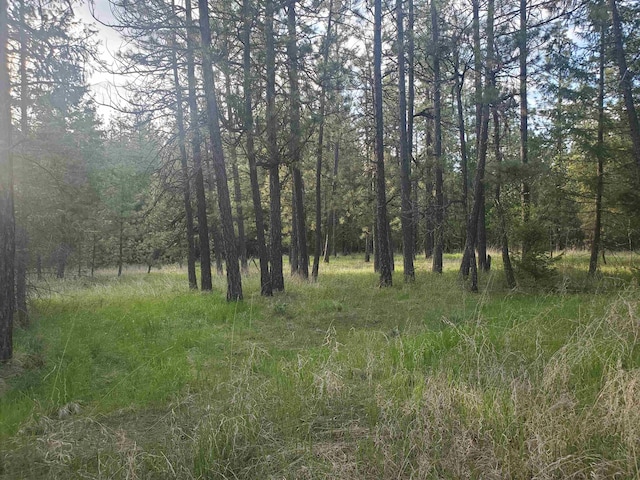 16812 W Big Sky Ln, Nine Mile Falls, WA 99026 - photo 40