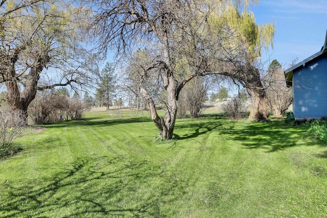 16812 W Big Sky Ln, Nine Mile Falls, WA 99026 - photo 5