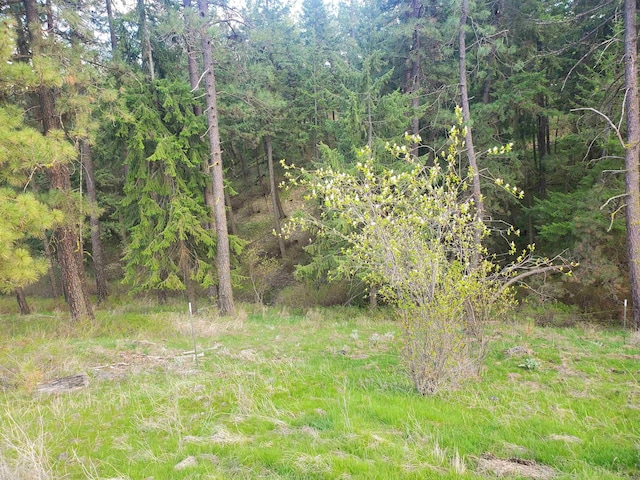 16812 W Big Sky Ln, Nine Mile Falls, WA 99026 - photo 43