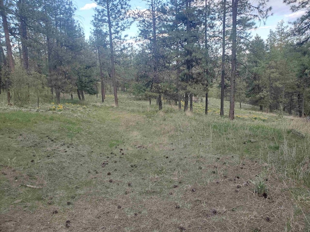 16812 W Big Sky Ln, Nine Mile Falls, WA 99026 - photo 44