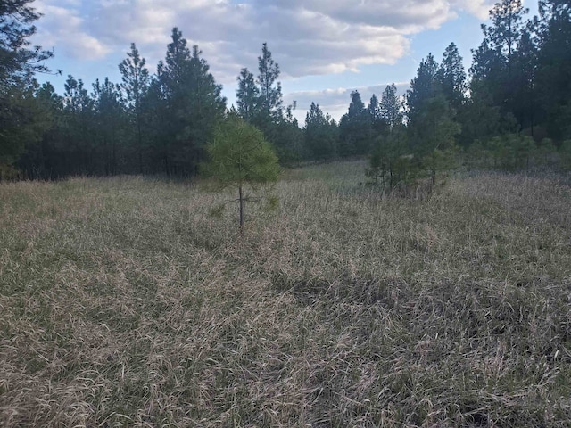 16812 W Big Sky Ln, Nine Mile Falls, WA 99026 - photo 45