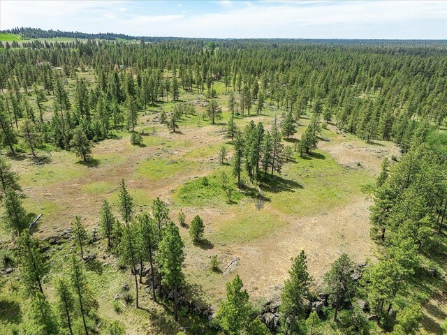 23755 S Ritchey Rd, Cheney, WA 99004