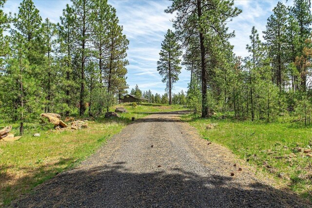 23755 S Ritchey Rd, Cheney, WA 99004