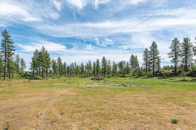 23755 S Ritchey Rd, Cheney, WA 99004