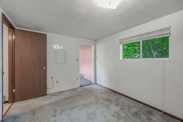 47 Davis Lake Ln, Usk, WA 99180 - unfurnished bedroom featuring carpet floors and a textured ceiling